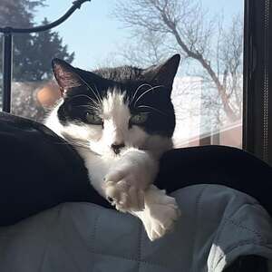 Meet your Posher, At